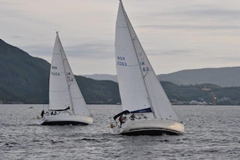 Temamøte - onsdag 12. april